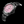 Load image into Gallery viewer, REEF X AUTOMATIC DIVER - Cotton Candy Black DLC Limited Edition 43MM
