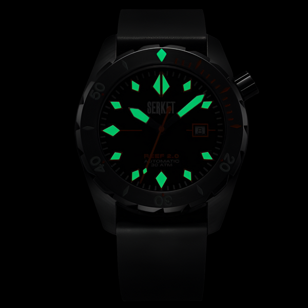 REEF 2.0 DIVER SWISS AUTOMATIC 30ATM-Black Diving Watch 46MM