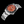 Load image into Gallery viewer, BLACKPOOL GMT AUTOMATIC Tangerine 39MM
