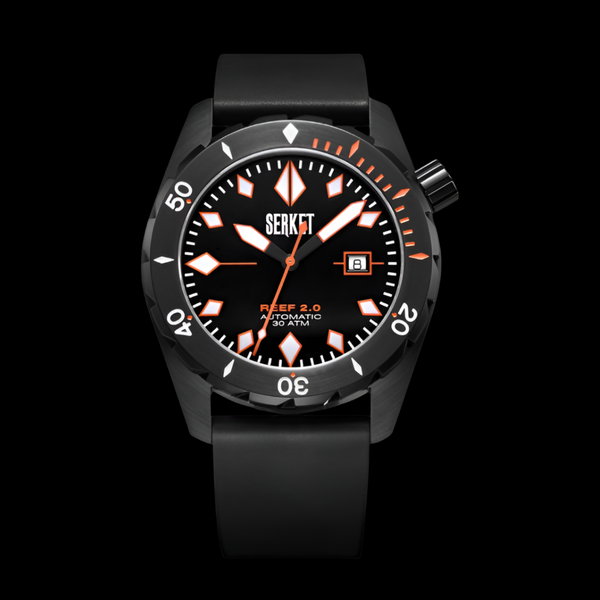 REEF 2.0 DIVER SWISS AUTOMATIC 30ATM-Black PVD Diving Watch 46MM