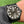 Load image into Gallery viewer, WRAITH AUTOMATIC BLACK PVD White 46MM
